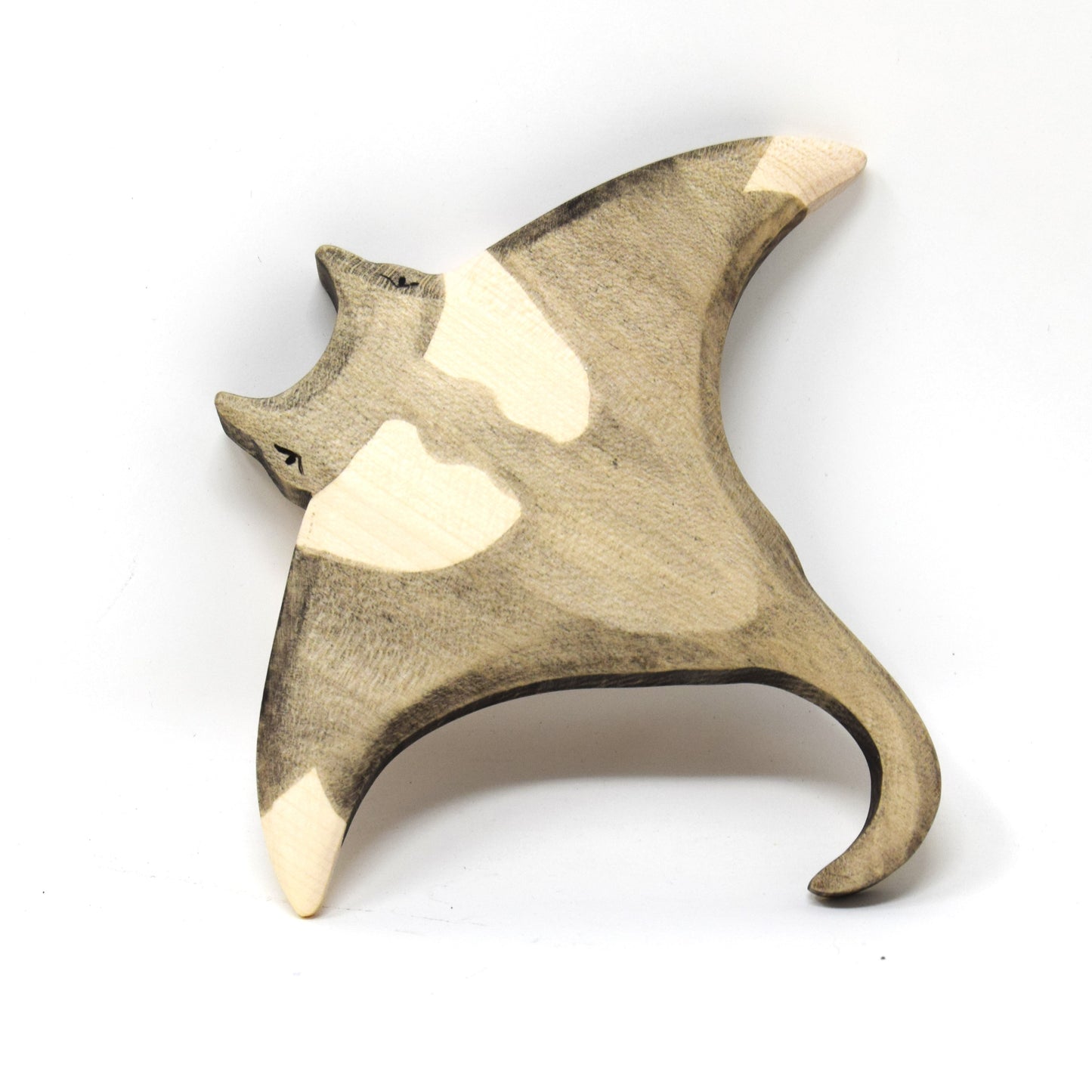 Manta Ray