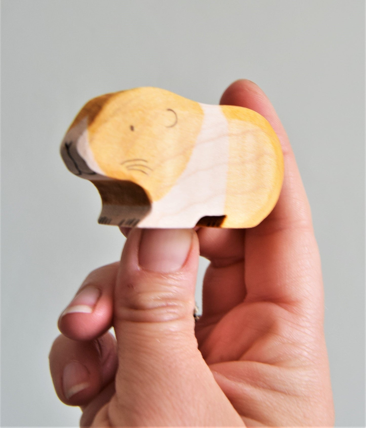 Guinea Pig - Eric & Albert