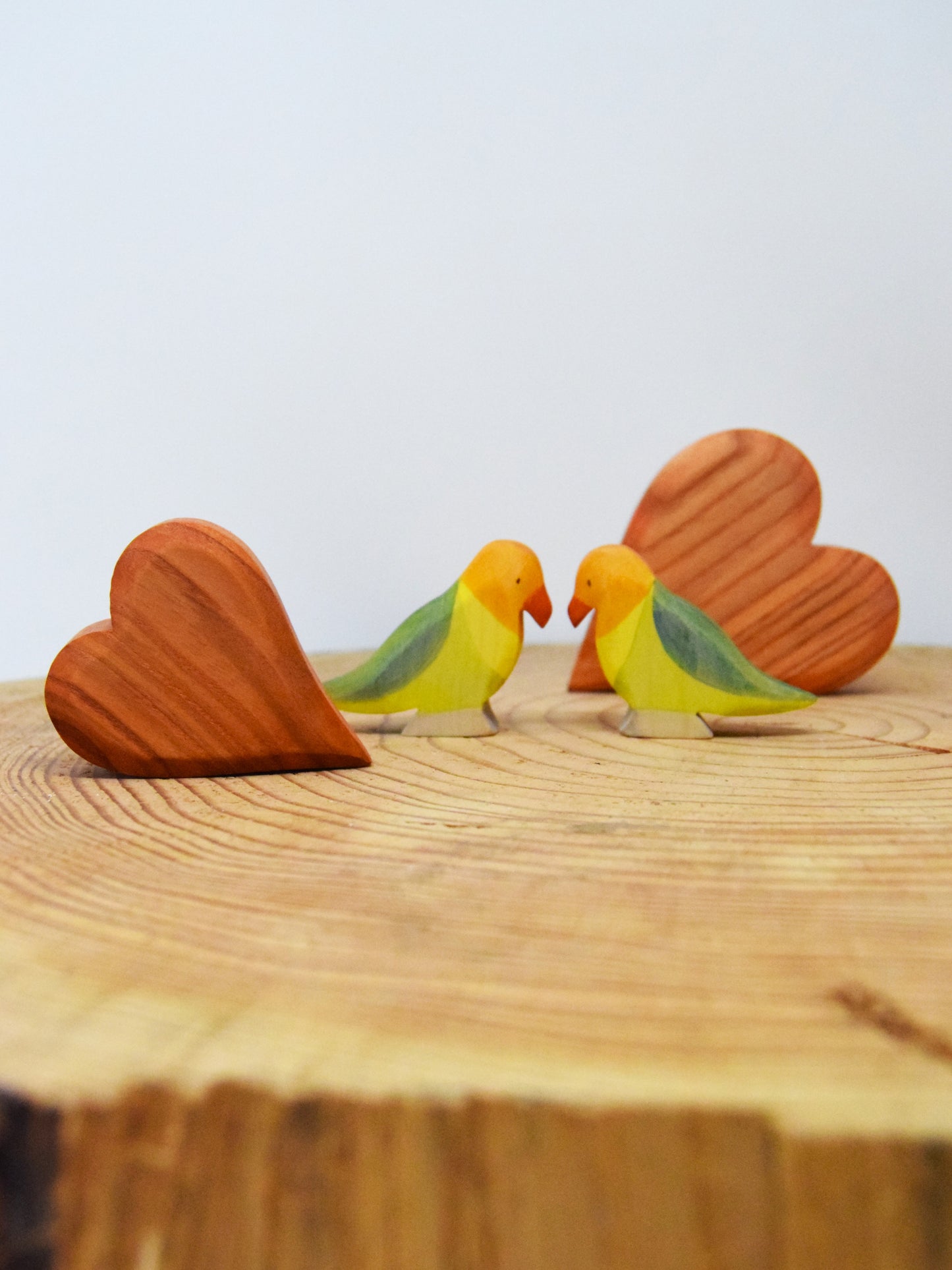 Lovebird