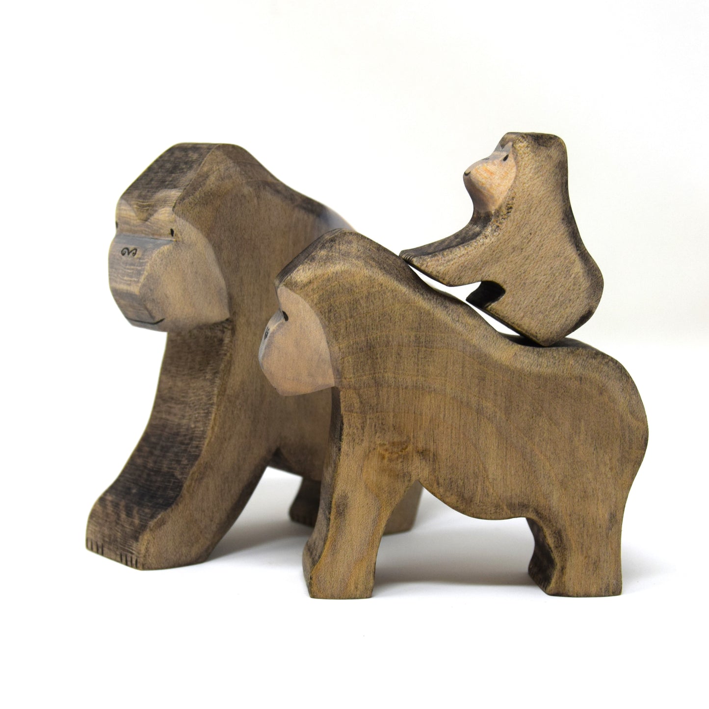 Gorilla adult