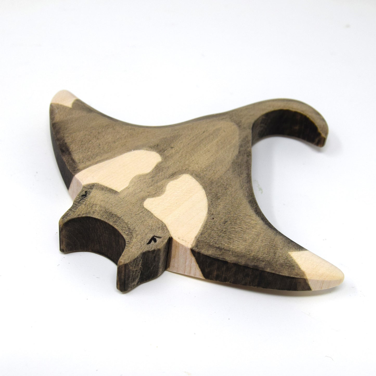 Manta Ray