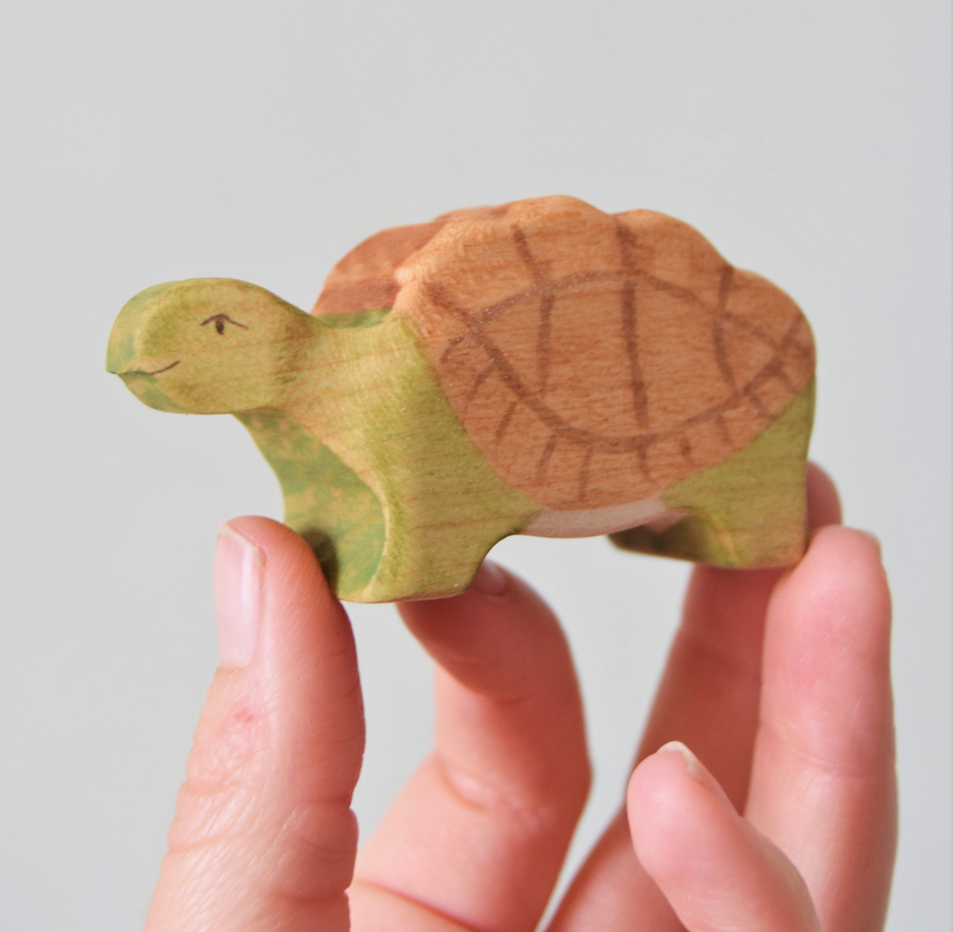 Tortoise - Eric & Albert