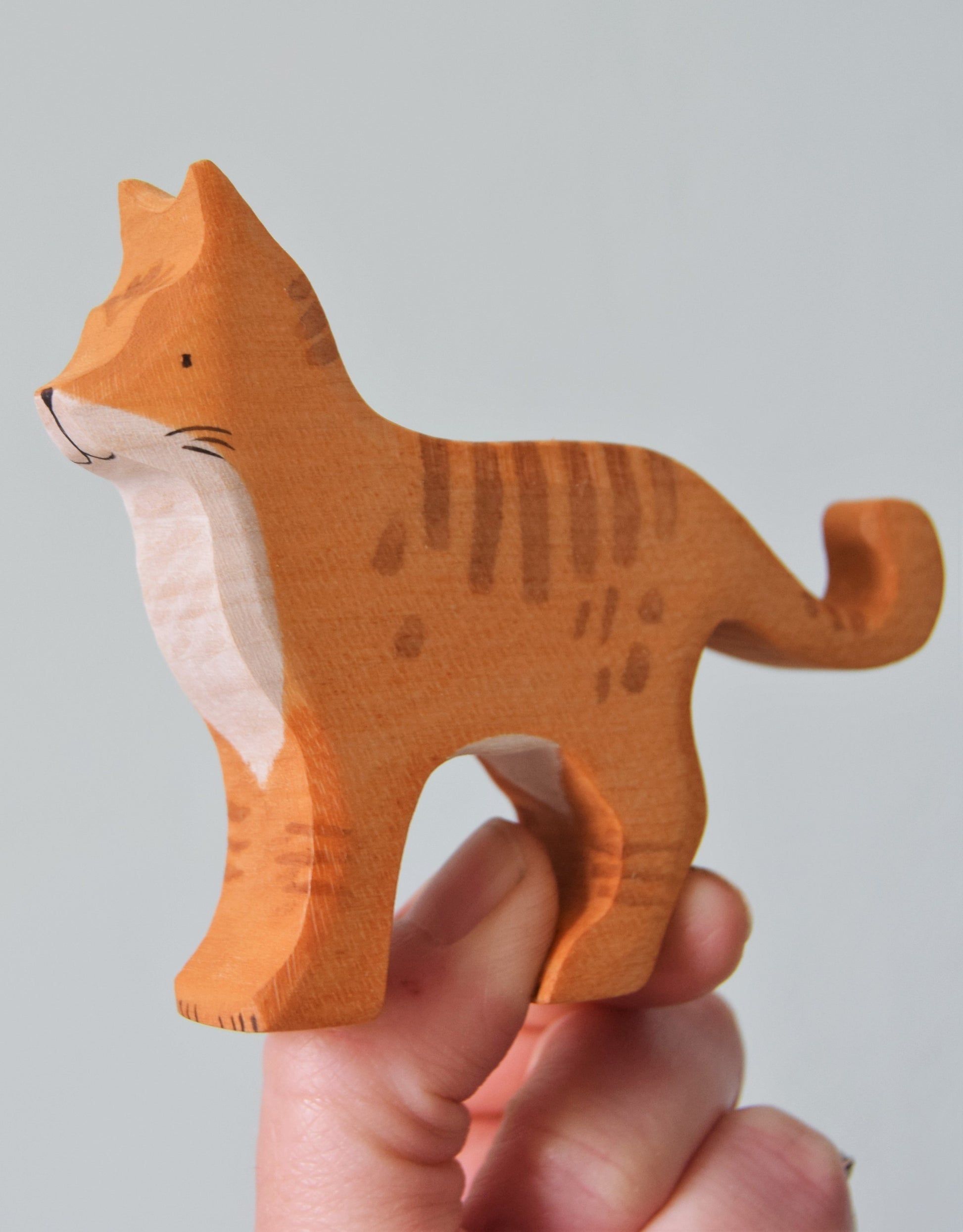 Ginger Cat - Eric & Albert