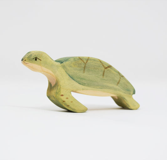 wooden Turtle - Eric & Albert
