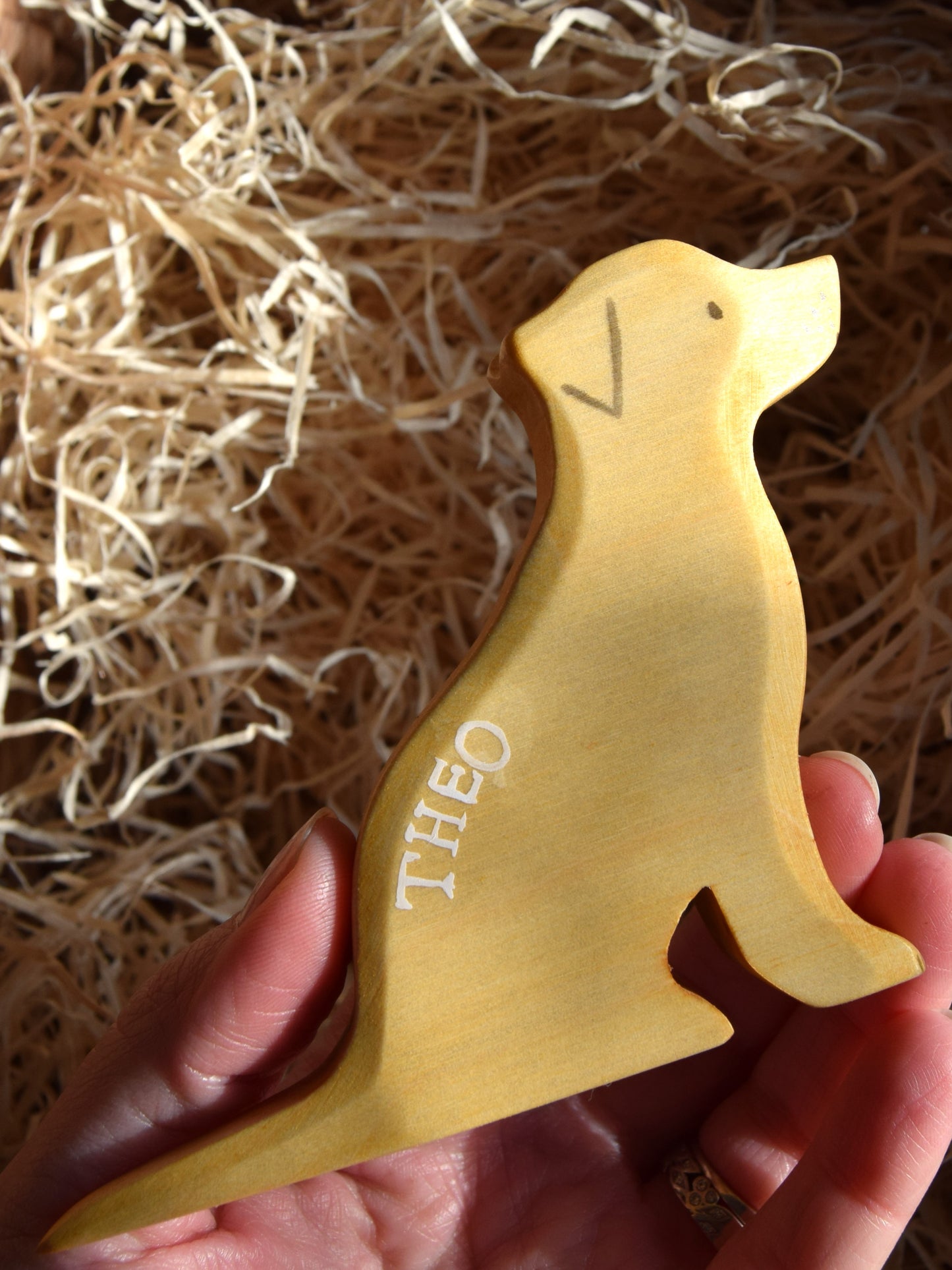 Labrador