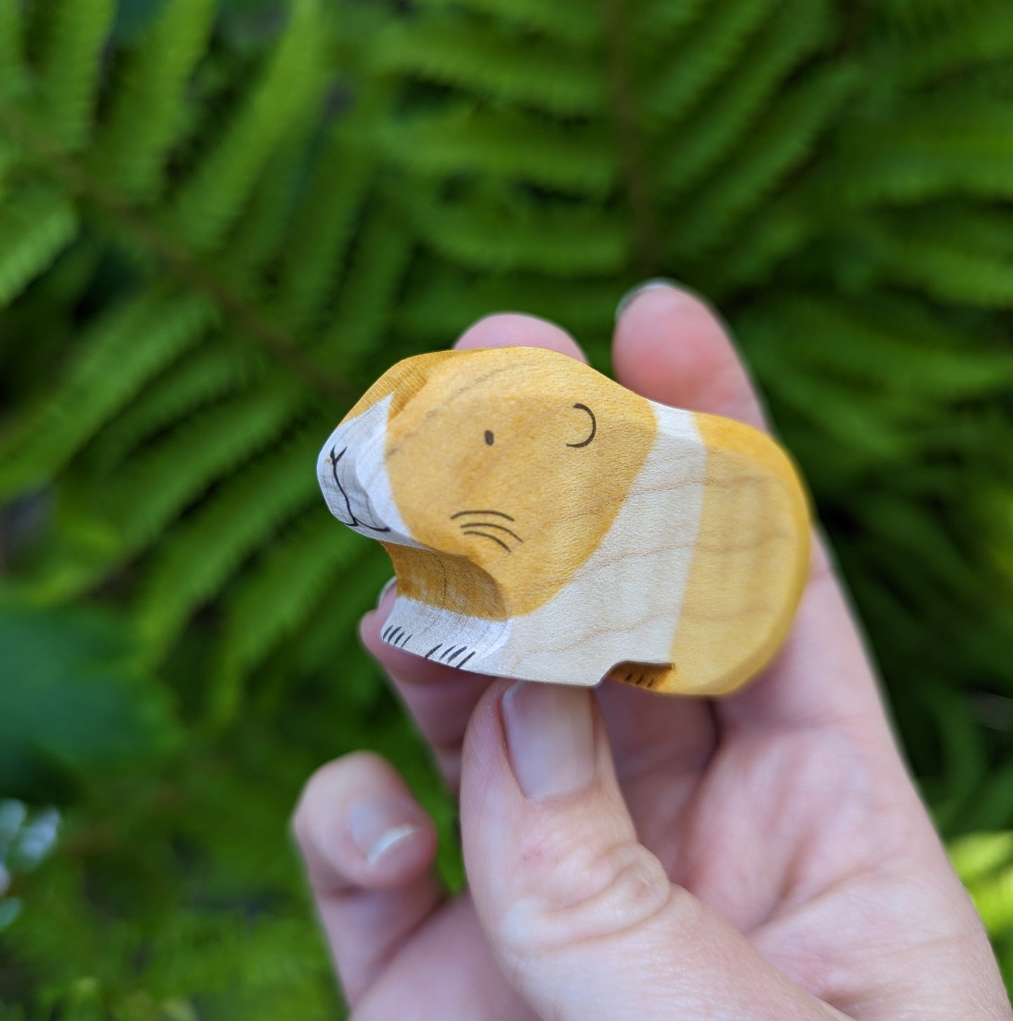 Guinea Pig - Eric & Albert