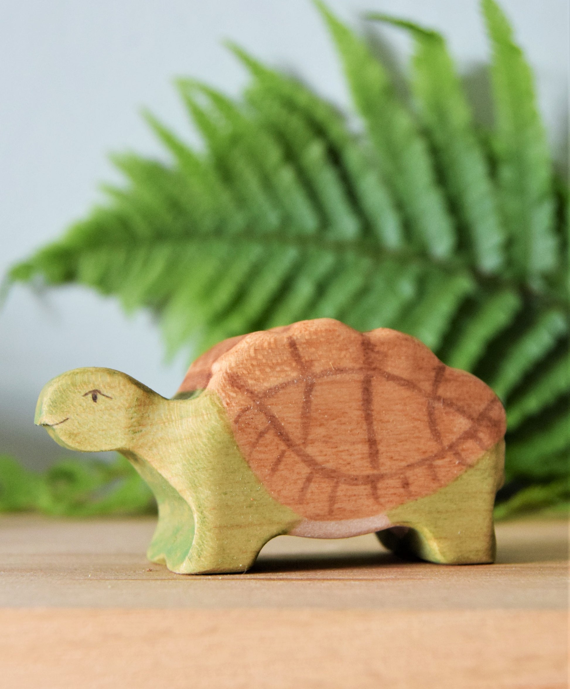 Tortoise - Eric & Albert