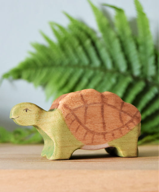 Tortoise - Eric & Albert