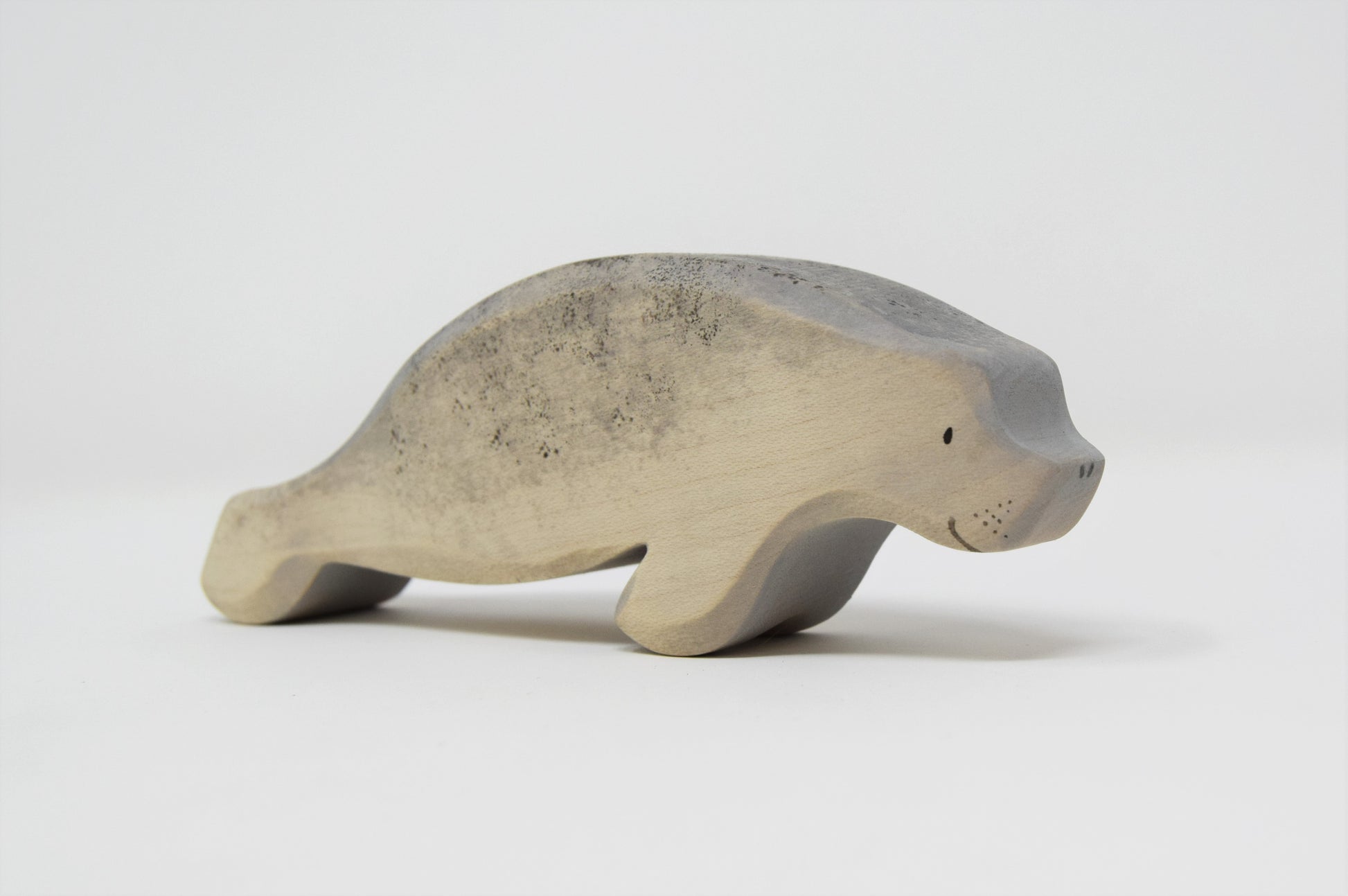 Manatee - Eric & Albert