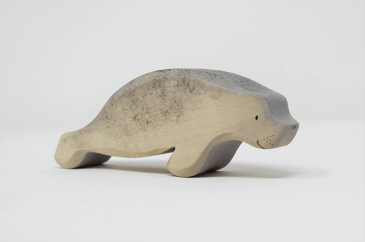 Manatee - Eric & Albert