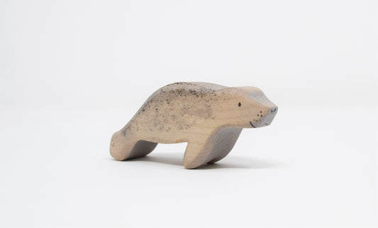 Manatee Calf - Eric & Albert