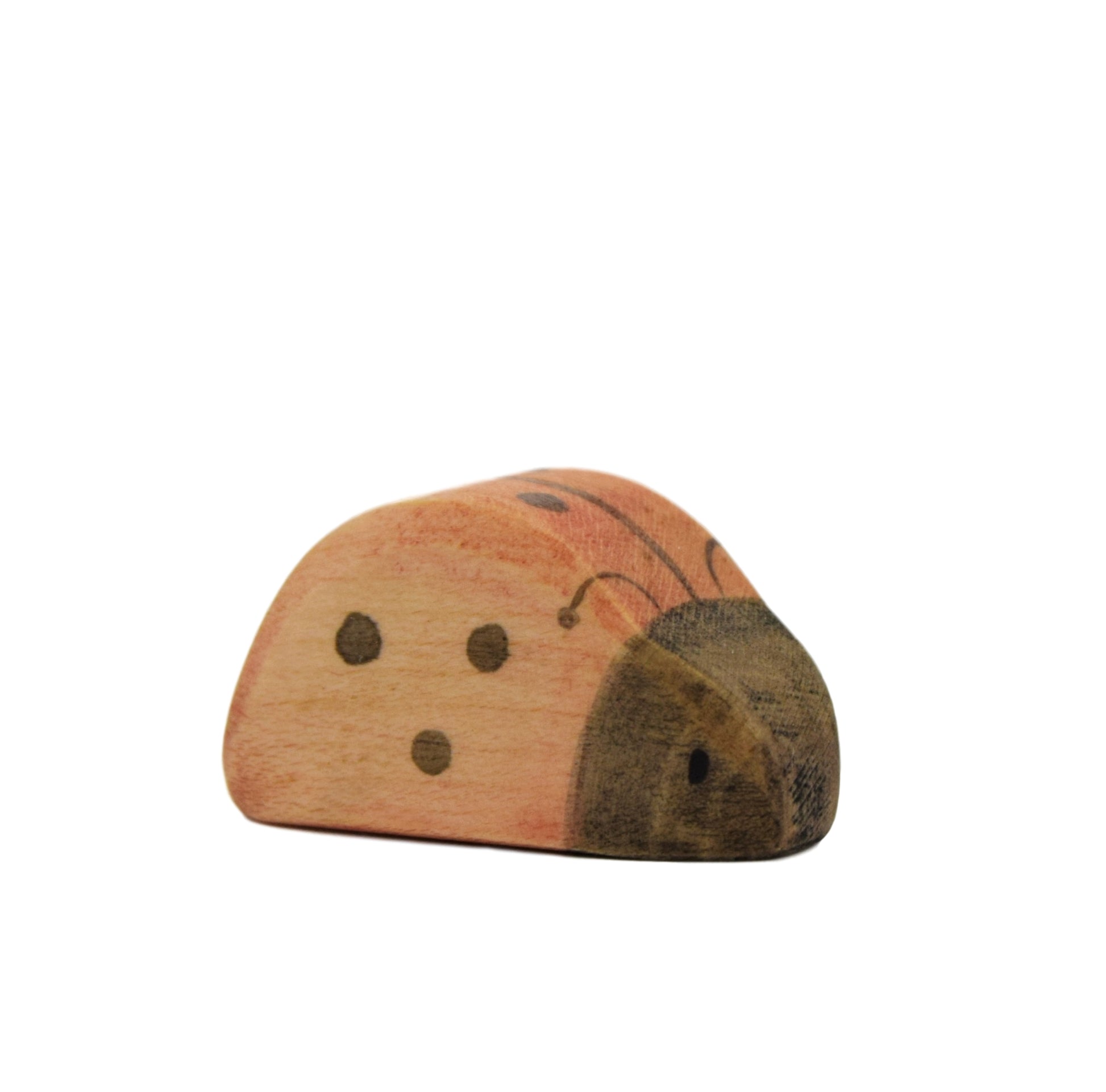 Wooden Ladybird - Eric & Albert