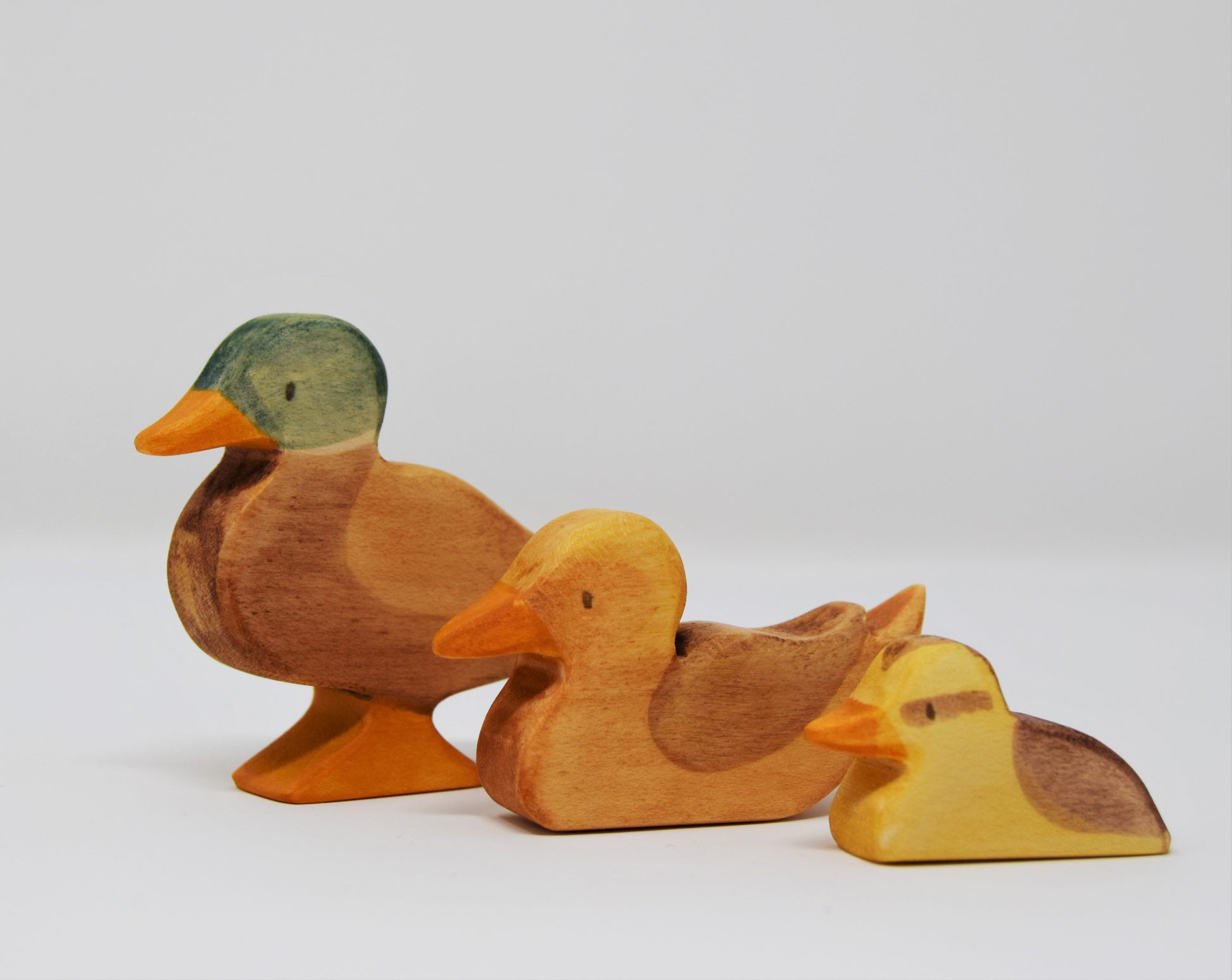 Wooden Female Duck Swimming - Eric & Albert