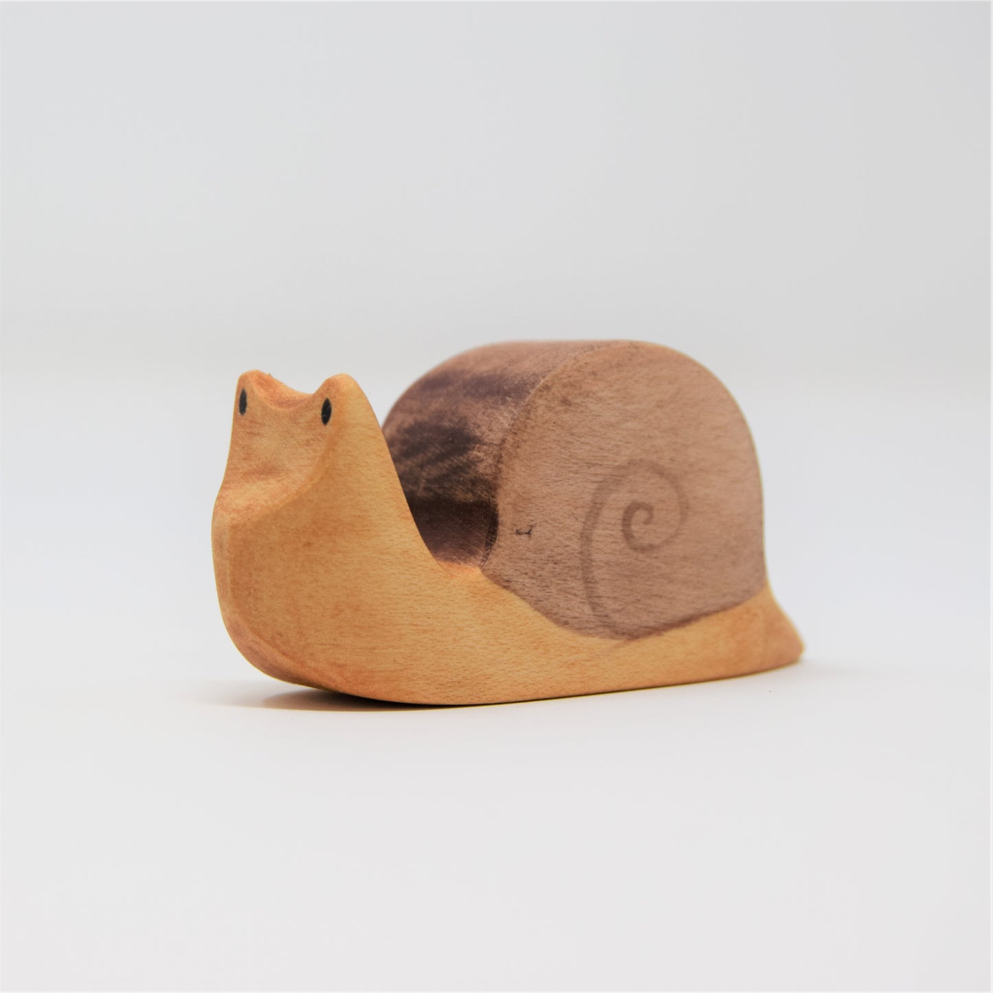 Wooden Snail - Eric & Albert
